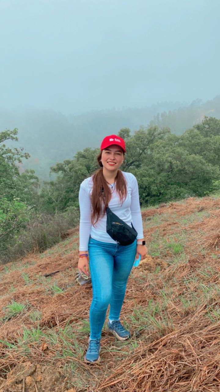 Voluntariado de reforestación