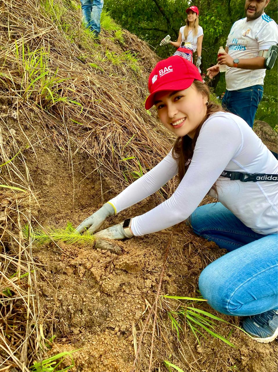 Reforestación en Guatemala